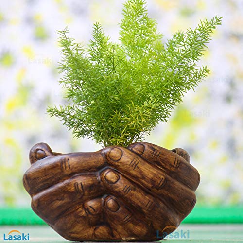 Image of Lasaki Hand Antique Hand-Shaped Flower Planter for Indoor & Outdoor Plants | Decorative Balcony, Garden & Office Succulent Pot | Unique Designer Gamla Plant Holder (18cm X 16cm X 9cm)