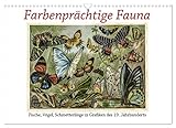 Farbenprächtige Fauna. Fische, Vögel, Schmetterlinge in Grafiken des 19 Jahrhunderts (Wandkalender 2023 DIN A3 quer), Calvendo Monatskalender - Jost Galle 