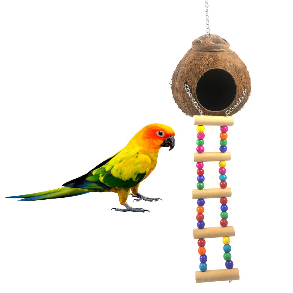 POPETPOP Nido di Uccello in Legno con Altalena da Arrampicata da Allenamento Stand da Gioco per cocorite di conuri Cockatiels Accessori Gabbia per Gabbie