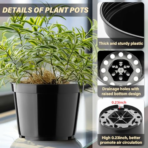 BTPLASTIK 15 Pack 6 Inch Plastic Plant Pots with Drainage Holes, Sturdy Nursery Pots for Plants, Thickened Flower Pots for Indoor Outdoor Planting Transplanting, Succulents, Seedlings, Black by BTPLASTIK - Image 3