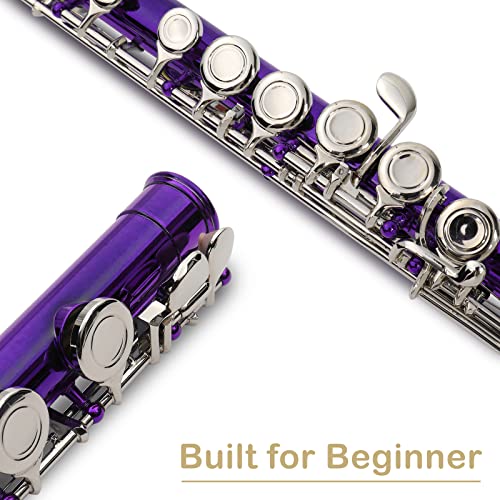 Ktaxon C Closed Hole Flute 16 Keys Flutes Kit For Students, Professionals & Beginner, Orchestra Musical Nickel Flute With Hard Case, Cleaning Rod, Cloth, Gloves (Purple) #TOP2