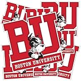 Desert Cactus Boston University Sticker Terriers BU Vinyl Decals Laptop Water Bottle Car Scrapbook Sheet T3 (Type 3-1)