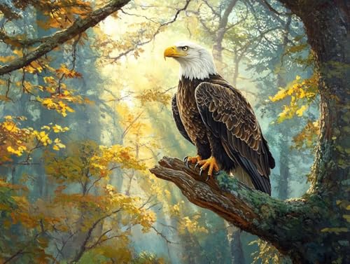 Peinture numéro adulte forêt aigle 50x70cm avec kit acrylique