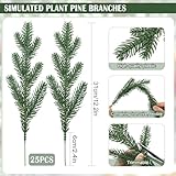 Zoom IMG-1 shepin 25 rami di abete Zoom IMG-1 shepin 25 rami di abete