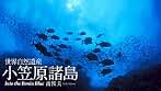 World Natural Heritage Ogasawara Islands: Into the Bonin Blue (Sphere Digital Books) (Japanese Edition)