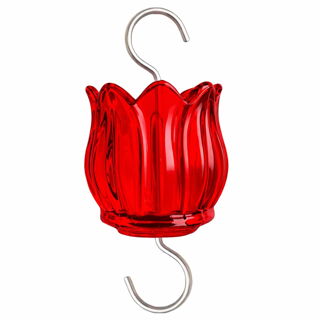 Foso de cristal contra hormigas en el comedero de colibríes con tulipán rojo
