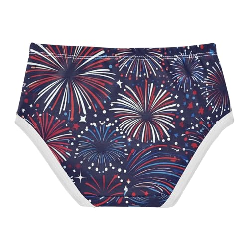 Cotton Toddler Underwear Floral American Fireworks USA Little Girl Panties Designer Briefs Kids Undies 2t2