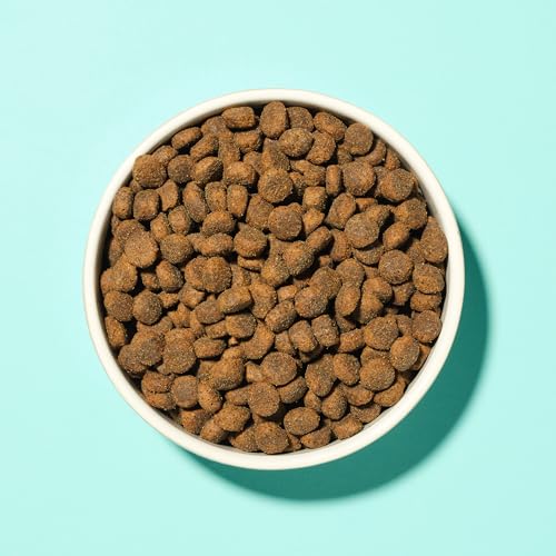 Pooch & Mutt - Gelenkpflege, Getreidefreies Alleintrockenfutter für Hunde, Lachs und Süßkartoffel, 2 kg