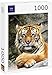 Lais Puzzle Tigre 1000 Piezas