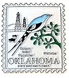 Saddle Mountain Souvenir Oklahoma Postage Stamp Fridge Magnet
