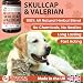 Petastical Skullcap Baldrian, Katzen- und Hundeberuhigung, Angstberuhigungstropfen, Alleine zu Hause, Bellen, laute Geräusche, Feuerwerk, Reisen (30ml)