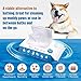 PUMBLER Pet Wipes for Dogs 100Pcs/1Pack – Unscented Dog Wipes with Vitamin E, Chamomile – Gentle Cat Wipes Ideal for Muddy Paws, Face, Dog Eye Wipes, Dog Ear Wipes – Resealable Lid Butt Wipes