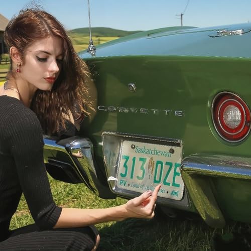 High-Tech Privacy License Plate Cover Guard,License Plate Protection Transparent Anti-Glare Frames, Reflective Clear Waterproof Tags, All-Weather Protection (1PC)