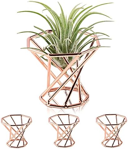 Bxxwin 4 Pcs Air Plant Holder Geometric Air Plant Stand Container Airplants Rack for Office Desktop Decoration (Rose Gold)