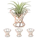 Bxxwin 4 Pcs Air Plant Holder Geometric Air Plant Stand Container Airplants Rack for Office Desktop