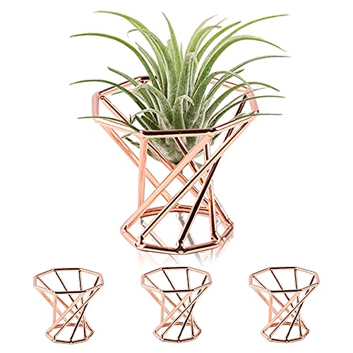 Bxxwin 4 Pcs Air Plant Holder Geometric Air Plant Stand Container Airplants Rack For Office Desktop Decoration (Rose Gold) #TOP1