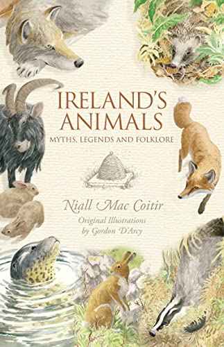 【中古】 Ireland’s Birds: Myths, Legends and Folklore/COLLINS PR/Niall Mac Coitir 51urZEAuIML.jpg
