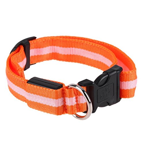 Buy Pinkdose® Orange, XL Nylon Led Dog Collar Night Safety Flashing