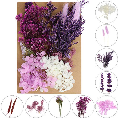 Flores secas decorativas variadas 131 piezas para manualidades miniatura 2