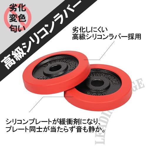 LEADING EDGE 「リーディングエッジ」30kg LE-DB30 ラバーダンベル(1) リーディングエッジ(LeadingEdge)のアイアンダンベルを使い続けた