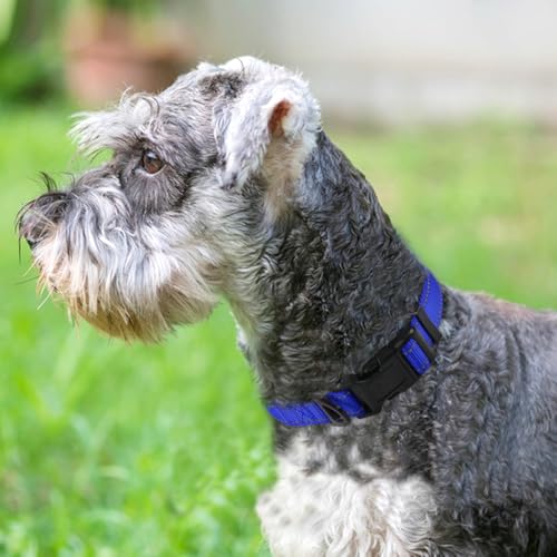 Image of Joytale Reflective Dog Collar, Soft Neoprene Padded, Metal D-Ring, Nylon Pet Collar Adjustable for Medium Dogs, Navy Blue, M