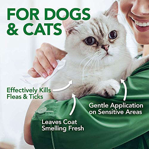 Vet's Best Flea and Tick Wipes for Dogs and Cats | Targeted Flea & Tick Application | Multi-Purpose Flea Treatment for… - Image 5