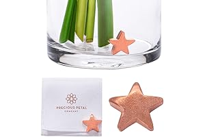 Fresh Cut Flower Food for Fresh Cut Flowers