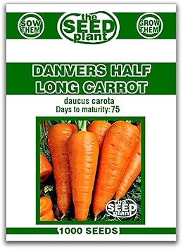 Danvers Half Long Carrots ، 1000 بذور