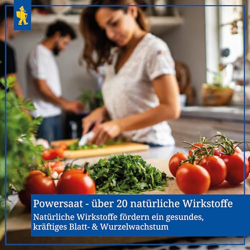 Kiepenkerl Profi-Line Kirschtomatensamen Crokini F1 Saatgut für Süße Cherrytomaten - Robuste Resistenzen gegen Pflanzenkrankheiten - Einfache Anzucht von Tomatenpflanzen im Garten, Gewächshaus & Kübel