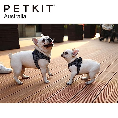 Petkit Air Fly Dog Harness (S) (Black) - Image 2