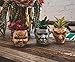 Toynk Halloween Michael Myers 3-Inch Ceramic Mini Planter with Artificial Succulent | Small Flower Pot, Faux Indoor Plant
