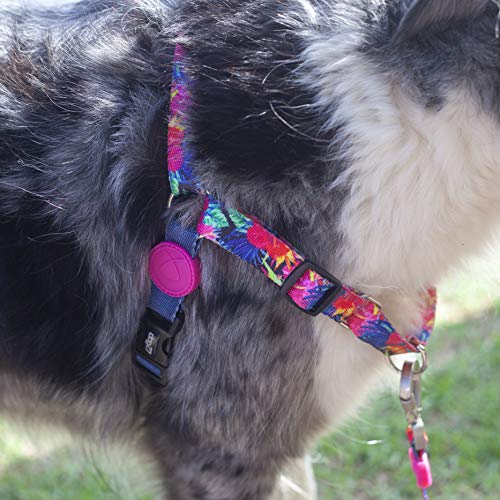 Peitoral Para Cachorros dog27 Maika`i Tamanho:G