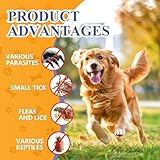 30ml Zeckenschutz für Hunde und Katzen, Effektiver Floh und Zeckenschutz mit Sofortwirkung, Einfache Anwendung mit Spot On, Ideal für Haushalt Pflege