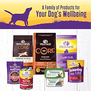   Wellness-Complete-Health-Thick-Chunky-Natural-Grain-Free-Canned-Wet-Dog-Food-Beef-Stew-125-Ounce-Can-Pack-of-12