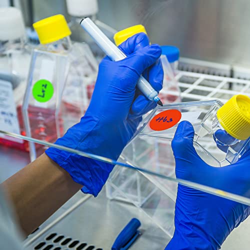 Chromalabel 2 Inch Round Permanent Color-Code Dot Stickers, 500 Per Roll, Orange #TOP3