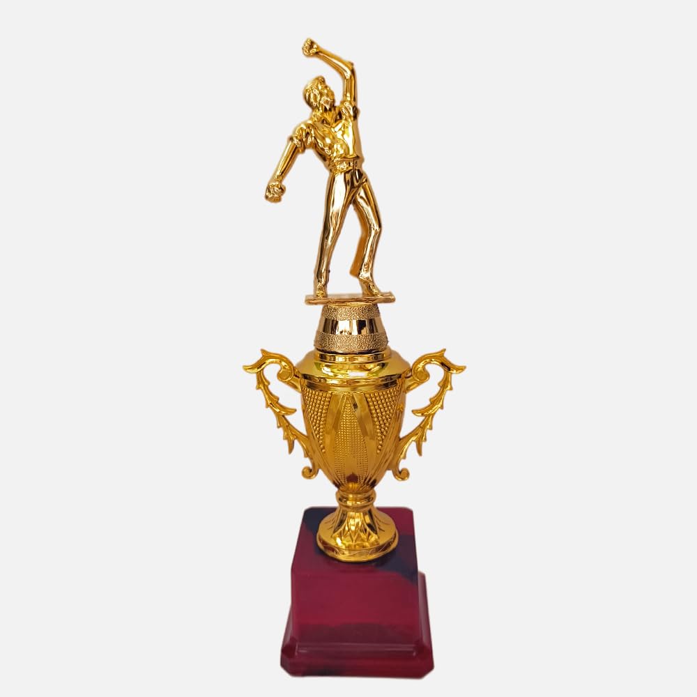 Bareeze Pure Golden Trophy for Cricket Tournaments, Cricket Matches and for Best Bowler (B0CJC3WGP4) Amazon Price History, Amazon Price Tracker