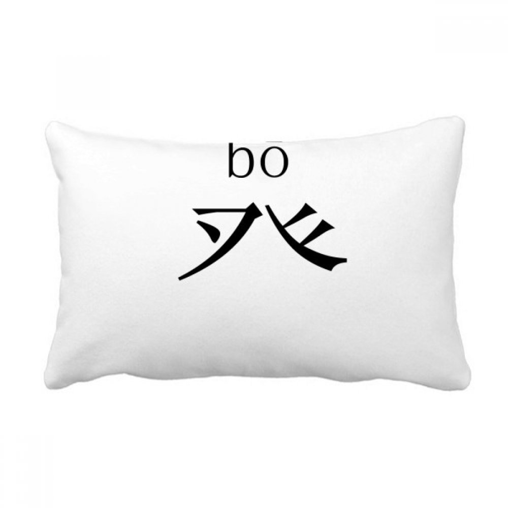 Coussin chinois Bo deco oreiller lombaire multicolor insert housse canape salon 16x24 pouces