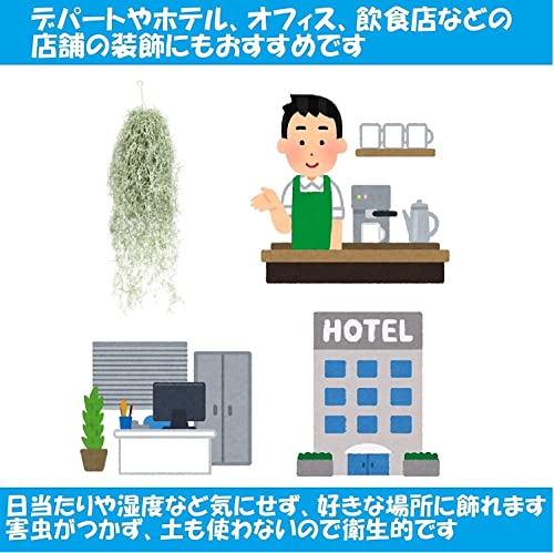 KINOKINO エアープランツ スパニッシュモス 造花 フェイクグリーン 吊り下げ 壁掛け 観葉植物 インテリア (約80cm) [5]