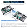 2 Pack ZK-1001U Bluetooth 5.3 Mono Amplifier Board with TWS & Boost Circuit, Mini Audio Amp for Home Outdoor DIY Speakers with 100W Power Output, Treble and Bass, USB/AUX/BT Input, DC 9-24V