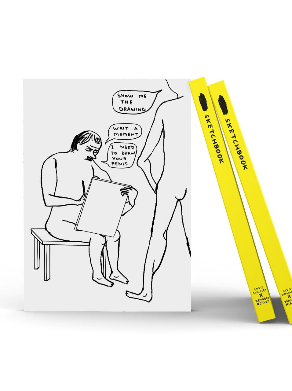 Official David Shrigley - Artist Sketchbook - Rude A5 Sketchpad - 'Show Me The Drawing' - Funny Cheeky Drawing Artwork - 144 Blank Pages - Sold by Brainbox Candy
