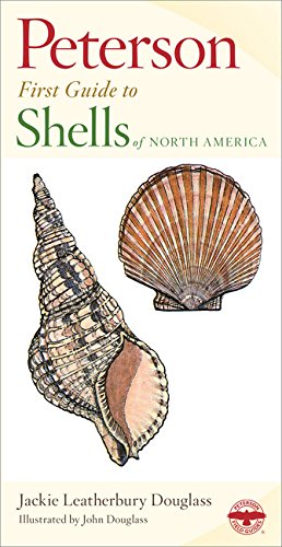 Télécharger Peterson First Guide to Shells of North America Francais PDF