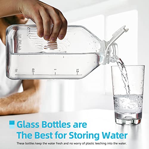 2 Pack 1/2 Gal Glass Milk Bottle With Strong Reusable Airtight Screw Lid - 2 Qt Glass Water Bottles - 64 Oz Juice Bottles With 4 Lids And 4 Handles! - Glass Milk Jug Pitcher With 2 Exact Scale Lines #TOP5