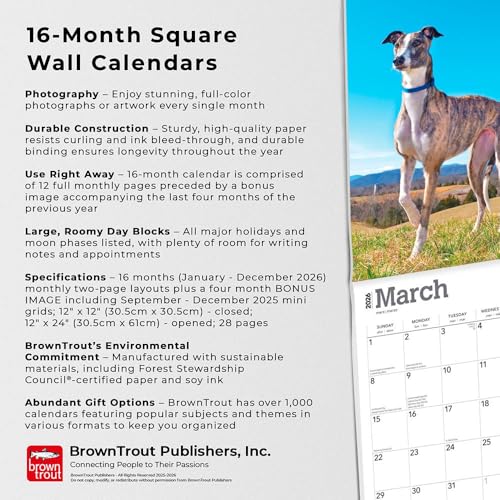 Greyhounds | 2026 12 x 24 Inch (Hanging) Monthly Square Wall Calendar | BrownTrout | Animals Dog Breeds - Image 3