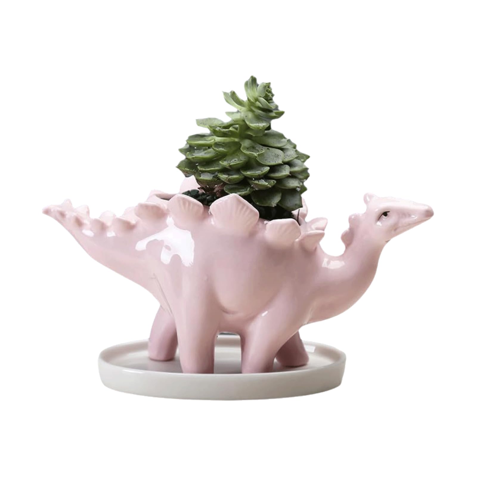Pots de fleurs en céramique ronde Yofab pour plantes succulentes d'intérieur