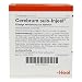 Produktbild CEREBRUM SUIS Injeel Ampullen 10 St