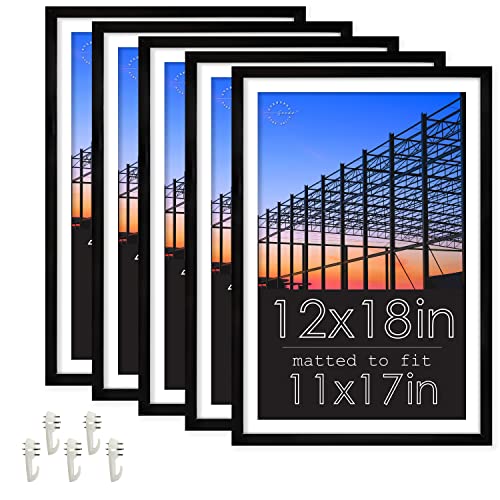 Standard Goods Home DÃ©cor Linear Picture Frame 5-pack, Black for wall or table, horizontal or vertical display (12x18)