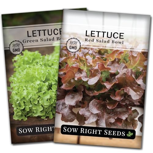 Sow Right Seeds - Salad Bowl Lettuce Seed Collection for Planting - Includes Green & Red - Non-GMO Heirloom Varieties - Fall & Spring Greens for Hydroponics or Outdoors - High Yield, Variety Pack