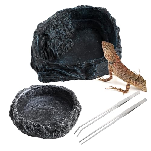 Abaodam 2Pcs Reptile Food Bowls with Tongs Feeding Dishes for Tortoise Lizard Frog Gecko Snake Durable Design for Reptile Habitats