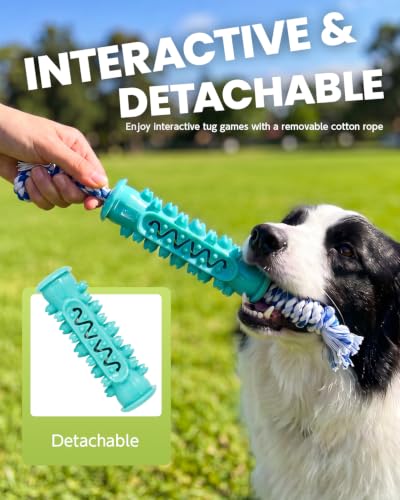 Dog Chew Toys for Medium Large Dogs, Toothbrush Toy with Rope - image 4