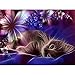 DIY 5D Diamond Painting Kits for Adults Full Drill Embroidery Paintings Rhinestone Pasted DIY Painting Cross Stitch Arts Crafts for Home Wall Decor 30x40cm/11.8×15.7Inches (Cat)